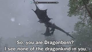 "What Did Alduin Said When You First Met Him???"