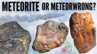 3 Rock IDs - Is it a Meteorite? ️ or a MeteorWRONG? 6-26-2024 Patreon Member Rock Identification