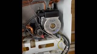 Замена насоса котел  Protherm Pantera 25 KTO (H-RU) | Отзыв  Duca VPWR
