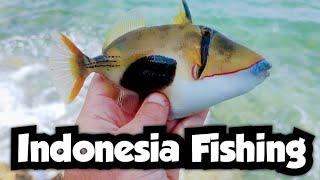 First Fishing Session on Bali | Indonesia Fishing 