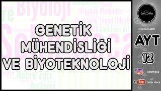 5) Genetik Mühendisliği ve Biyoteknoloji