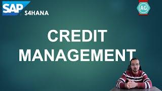 SAP S4HANA Credit Management: Introduction and Overview