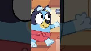 Die ersten Schritte von Baby Bluey  | Bluey - Deutsch Offizieller Kanal #ytshorts