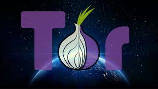 Updates on My Tor Relay - 1 Month of Anonymizing Traffic