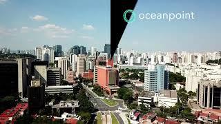 Oceanpoint Crypto in Realestate