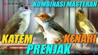 MASTERAN KOMBINASI KATEM - PRENJAK TIR - KENARI