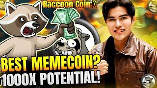 RACCOON COIN X1000 POTENTIAL? Meme Coin