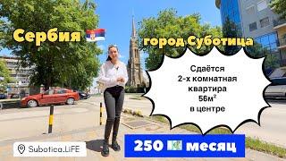 Сербия | Недвижимость в Суботице | Аренда квартиры в Суботице | Суботица | Снять квартиру в Сербии