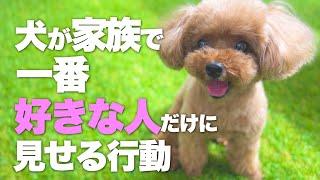 大好きな家族に見せる行動　犬が好きな人を決める４つの要素