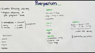 Puerperium - postpartum period. Lochia. Involution.