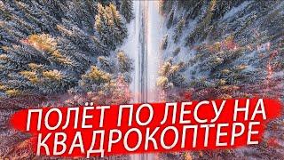 Полёт на квадрокоптере над лесом. Flying a quadrocopter over the forest.