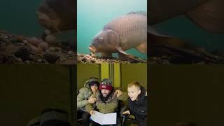 𝘾𝙇𝙊𝙎𝙀 𝘾𝘼𝙍𝙋 𝙀𝙉𝘾𝙊𝙐𝙉𝙏𝙀𝙍𝙎‼️ ITVX Underwater Grand Fishing Adventure #carpfishing #fishing