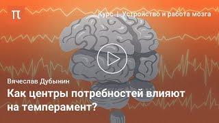 Мозговые центры потребностей и эмоций — Вячеслав Дубынин