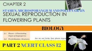 Part-2 SEXUAL REPRODUCTION IN FLOWERING PLANTS chapter-2 NCERT class 12th biology