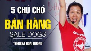 5 CHÚ CHÓ BÁN HÀNG "SALEDOGS" - THERESA HOÀI HƯƠNG