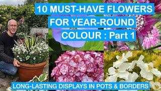 10 MUST-HAVE FLOWERS FOR YEAR-ROUND COLOUR – Part 1: LONG-LASTING DISPLAYS FOR POTS & BORDERS