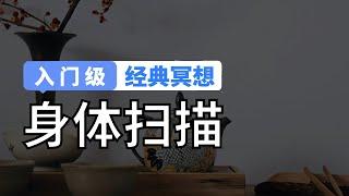 【经典冥想】入门级｜身体扫描｜人人都能尝试的零基础冥想训练