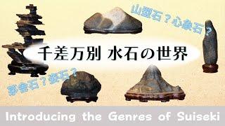 Introducing the Genres of Suiseki - The Profound World of Suiseki -