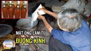 Sính MẬT ONG RỪNG tiền triệu - đừng để tiền mất, tật mang