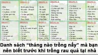 Danh sách “tháng nào trồng nấy” mà bạn nên biết trước khi trồng rau quả tại nhà