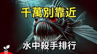 15種魚類讓你一秒斃命！【出類拔萃】