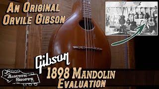 Historical 1898 Orville Gibson Mandolin | Evaluation With David Harvey