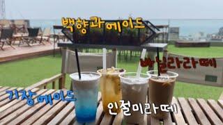 [요효in부산] 3편. 기장 까페 추천 - 까페드220볼트 cafe de 220 volt 까페리뷰VLOG