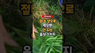 절대 생으로 먹으면 안되는 음식 3가지. #건강정보 #음식 #식품정보 #건강 #지식