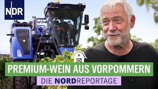 Vollerntemaschine im Weinanbaugebiet in Vorpommern | Die Nordreportage | NDR