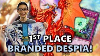 First Place Rarity Collection Tourney Branded Despia Deck Profile | Return to YuGiOh! | Post LEDE