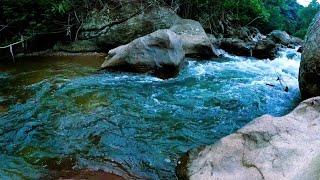 Serene River Ambience | ASMR Water Sounds for Mindful Relaxation