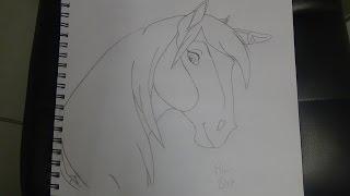 Spirit Stallion of the Cimarron | Drawing Rain