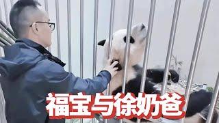 原来福宝最爱的饲养员一直是徐奶爸，徐奶爸去内舍干活也要被闺女斜着眼“偷窥”，而徐奶爸对福宝更是极度宠爱！【追娱秀场】