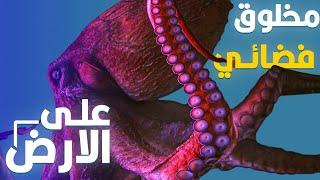 مخلوق فضائي عايش على الأرض | الأخطبوط