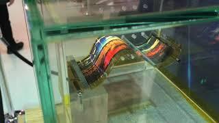 Flexible OLED display from Skyworth