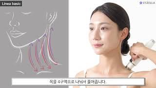 [ESTELLA]  에스텔라 페이스/맥스 사용법 | 리니아 테크닉 첫번째 'Linea Basic'