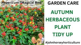 HOW TO CUT BACK HERBACEOUS PLANTS IN AUTUMN - HERBACEOUS PLANT TIDY UP