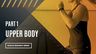 Part 1 Upper Body - Muscle Building Series