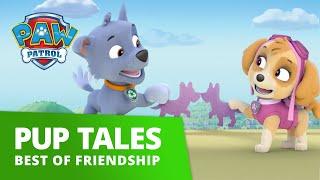 PAW Patrol - Friendship Day Music Video! - PAW Patrol Official and Friends!