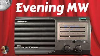 Sony ICF-34 AM FM WX TV Radio Evening MW