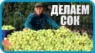 СКОЛЬКО ПОЛУЧИТСЯ СОКА ИЗ БОЧКИ ЯБЛОК?