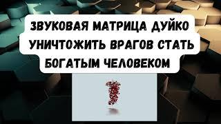 Звуковая матрица Дуйко Уничтожить врагов стать богатым человеком