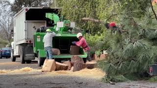 Wood Chipping 2