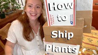 How to Ship Plants in the Mail | Guide for First-Time Shippers!