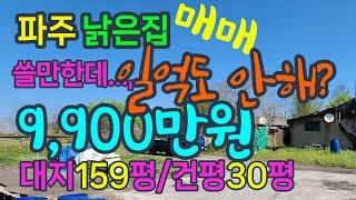 파주 옛날주택 매매 9,900만원 대지159평/건30평 수리좀해서 쓰실래요?