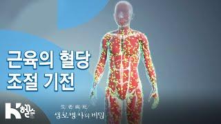 [생로병사의 비밀] 715회 핫클립 - 근육의 혈당 조절 기전