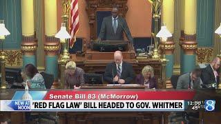 Michigan Senate passes 1 of 4 'red flag' law bills