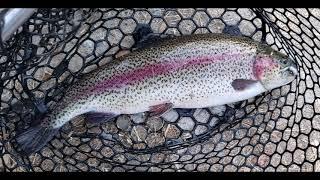 Trout fishing at Lake Camanche south shore with Notorious Custom Jigs