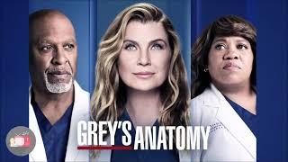 DANIEL SAINT BLACK - What It Takes (Stripped) (Audio) [GREY'S ANATOMY - 18X06 - SOUNDTRACK]