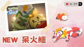 呆火鱷登場！版本最強蘋果手 【Pokemon Sleep 寶可夢睡覺】